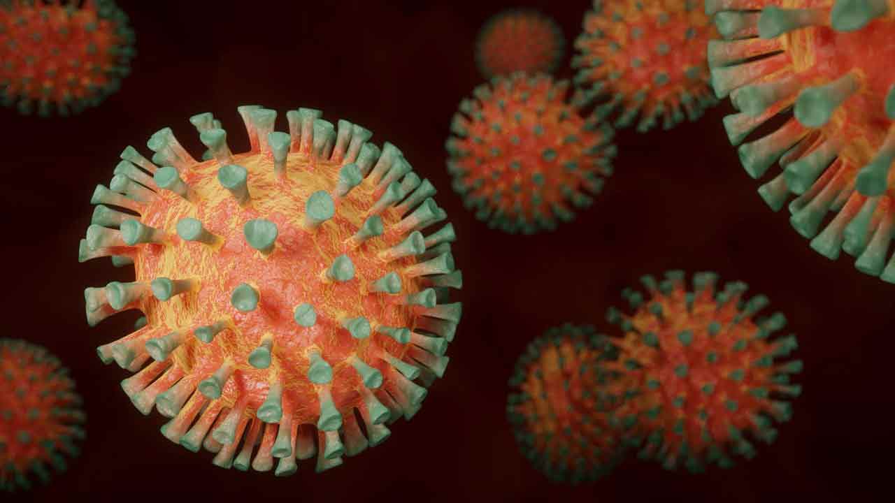 В Бельгии обнаружена новая версия Омикрона: «Запутался в тестах как Дельта, ускользает от иммунной системы»