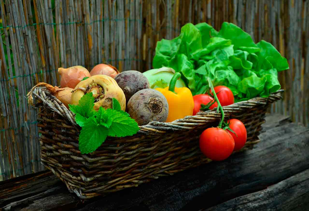 Какие овощи сажать рядом? | Совмещение культур в саду